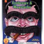LARGE MOUSTACHE AND EYEBROWN SET