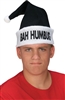 Bah-Humbug Santa Hat