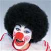 Black Clown / Afro Wig