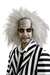 BEETLEJUICE WIG