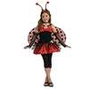 LADY BUG (TWEEN) SMALL