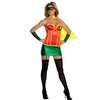 ROBIN CORSET DELUXE ADULT COSTUME - SMALL