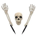 Buried Alive Skeleton Crazy Bones Prop Set
