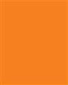 Orange Banquet Tablecover Plastic-54 X108