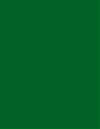 Hunter Green Placemats Plastic-48 Ct