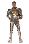 Knight in Shining Armor Adult Costume - One Size