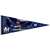 Milwaukee Brewers - Nyjer Morgan Premium Pennant