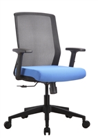 Ergonomic Chair