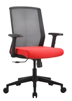 Ergonomic Chair