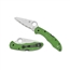 Spyderco Salt 2 Knife - LC200N Steel Blade, Green FRN Handle