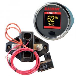 Balmar SG200 Battery Monitor Kit w/Display Shunt  10M Cable - 12-48 VDC [SG200]