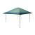 Coleman OASIS 13 x 13 Canopy - Canopy Moss [2156426]