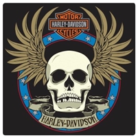 H-D SPADE SKULL SIGN