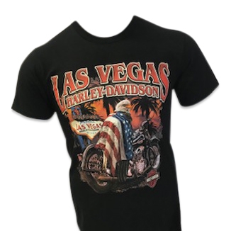 LVHD DRAPED EAGLE