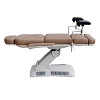 Spa Numa SWIVEL DELUXE 4 Motor Electric Treatment Chair Bed with Built-In  Foot Pedals - Available in 5 Colors - Aesthetic Record Marketplace