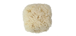 6 EACH LARGE SEA WOOL SPONGES