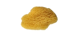 12 MEDIUM SILK SPONGES