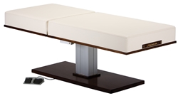 Living Earth Pedestal Electric Tilt Electric Lift Table