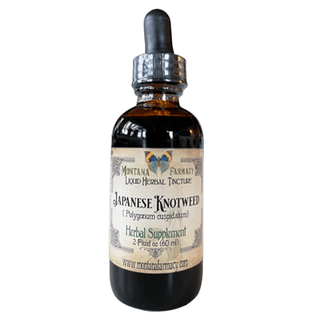 photo of Japanese Knotweed Liquid Herbal Tincture, 2oz