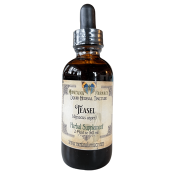 photo of Teasel Liquid Herbal Tincture, 2oz