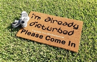 I'm Already Disturbed Please Come In or Welcome Funny Custom Handpainted Welcome Doormat by Killer Doormats