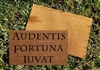 Audentis Fortuna Iuvat - Fortune Favors the Brave Custom Handpainted Doormat by Killer Doormats