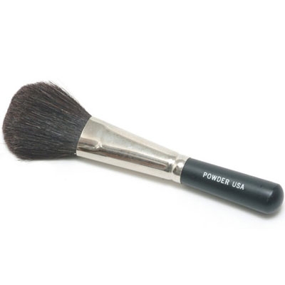 Chisel Dome Powder Brush