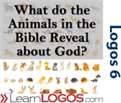 What do the Animals in the Bible Reveal about God?