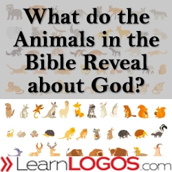 What do the Animals in the Bible Reveal about God?