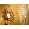 Blessed Sacrament Card for Priest or other Religious occasions.