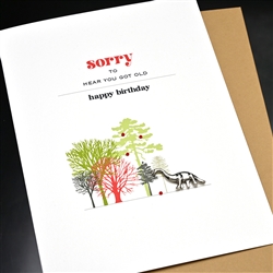 Birthday  " Dinosaur "  BD536 Greeting Card