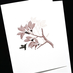 Blanks " Hummingbird / White  "  BLK134  Greeting Card