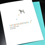 Congratulations " Turn To Shine "  CG30 Greeting Card