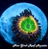 COSMIC RAINBOW ZOANTHID