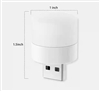 LED Mini Portable Light USB Plug Cool White