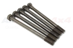 247723 - Cylinder Head Bolt for 2.25, 2.5 NA and TD (Comes as Single Bolt)