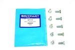 250693 - BOLT BSF (Priced Individually)