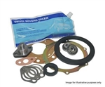 DA3163P - Swivel Repair Kit for Discovery 1 and Range Rover Classic up to JA Chassis 12mm Seals - Swivel Housing Seals, Bearings, Pins and Gaskets