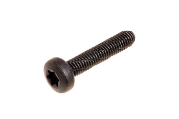 DYP101480 - Torx Head Screws to Hold Rear Door Grab Handle 02-16 (S)