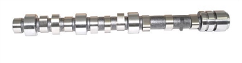 ERR3547 - Camshaft for 300TDI - Fits Defender, Discovery 1 and Range Rover Classic