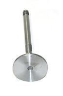 ERR3777.AM - Cylinder Head Inlet Valve for 300TDI - Fits Defender, Discovery 1 and Range Rover Classic