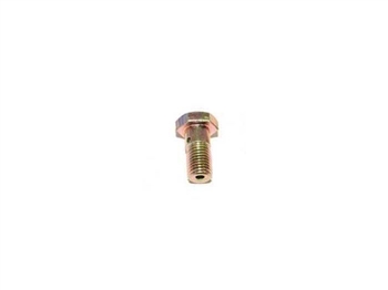 ERR886 - Banjo Bolt for Fuel Injection Pump on 200TDI and 300TDI - Fits Defender, Discovery 1 and Range Rover Classic