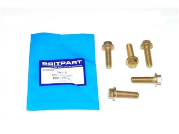 FB110071L - Bolt Flanged (Priced Individually)