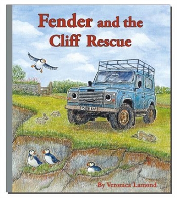 FENDER-RESCUE - The Story of a Fits Defender on a Cliff Rescue