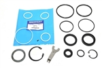 QFW100140 - Main Seal Kit for Discovery 2 Steering Box