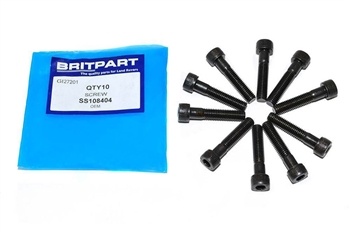 SS108404 - SCREW