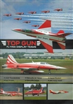 Top Gun Flying Display Teams DVD