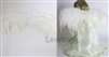 Feather Costume Wings