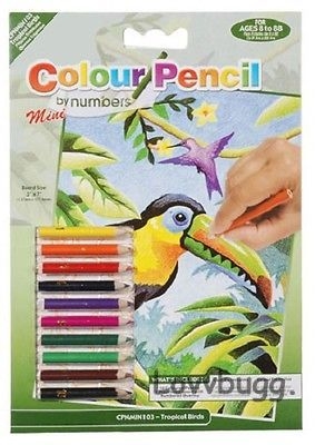 Colored Pencils with Bird