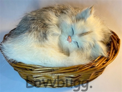 Sleeping Brown and White Cat in Basket